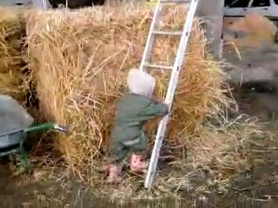 A la ferme