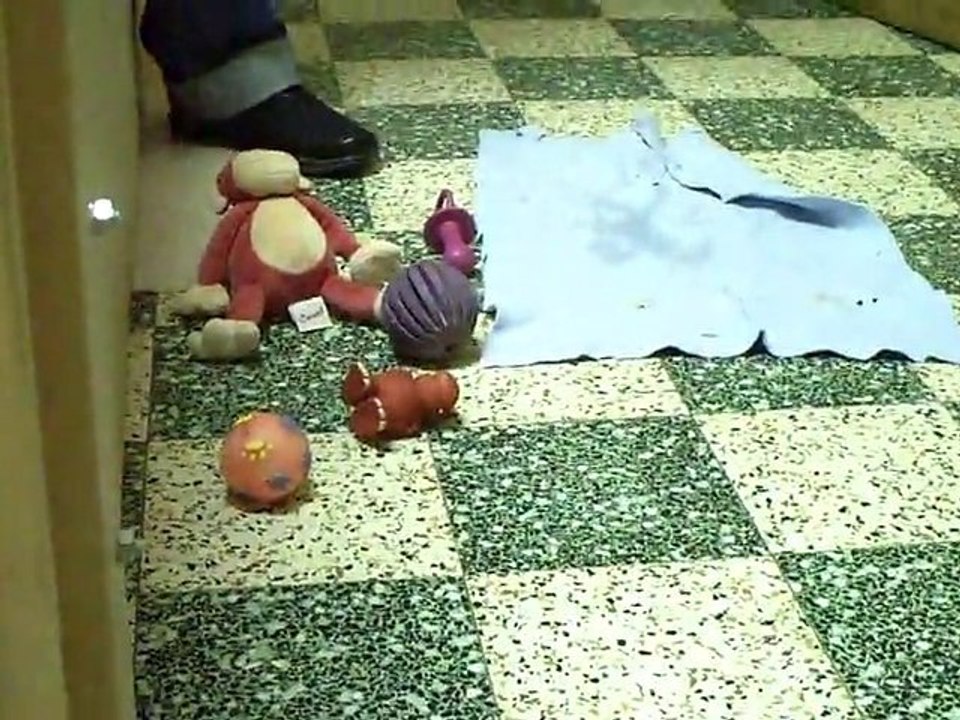 Les BB de L'Exigence a 32 jours