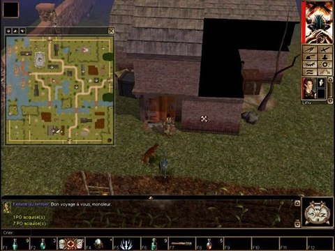 Neverwinternights/49 loup garou