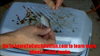 How To Bait A Hook With Shad For Catfishing - Learn To ...