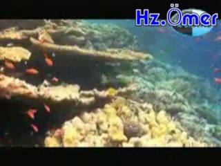 Hz.Ömer-Adâlet Böyle Olur