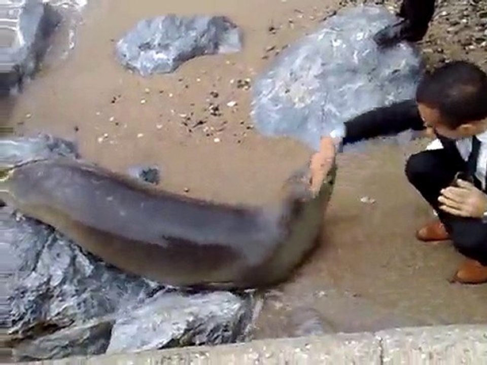 Kendi Videoların  badem [HQ]