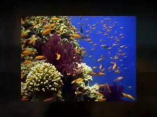 Online Work India - Your Ultimate Source For Entry Level Job