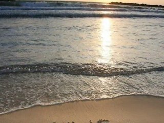 latest tamil song 2011