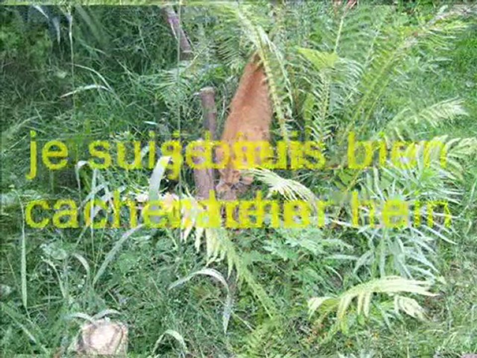 SansTitre_0002