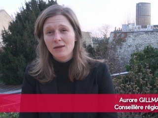 Aurore GILLMANN - Environnement / énergie