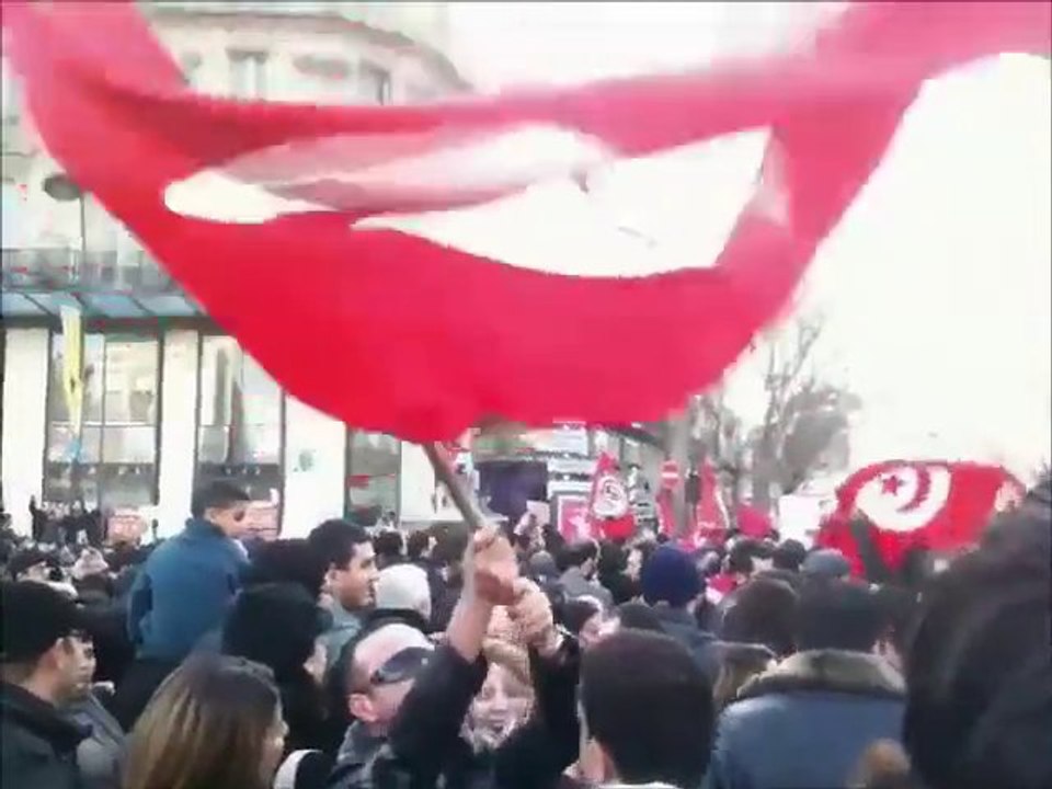 Manifestation du 15-01-2011 à Paris (2)
