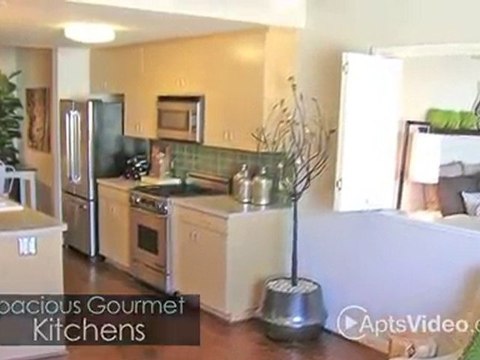 5550 Wilshire at Miracle Mile Apartments in Los ...