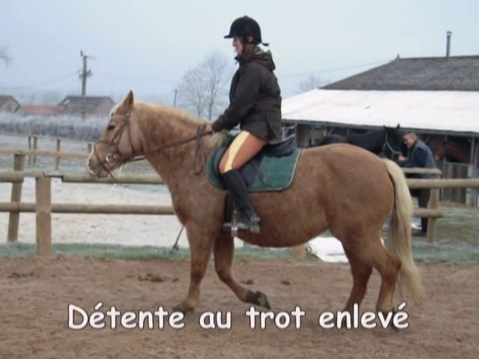 Une séance d'équitation