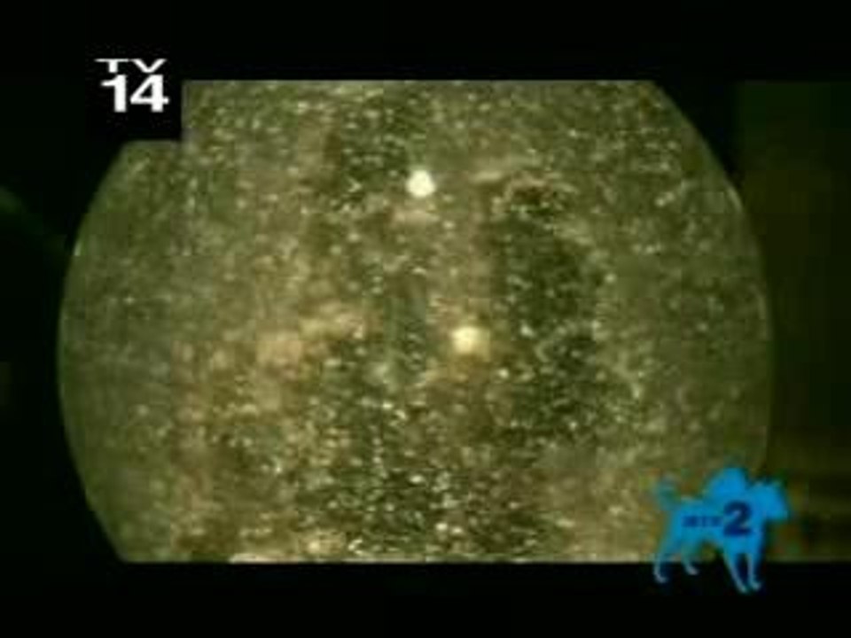 Lacuna Coil  our truth