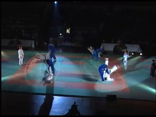 22 janvier 2011 au Palais des sports : gala d'art martiaux