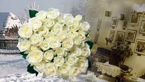 Białe róże-Accord