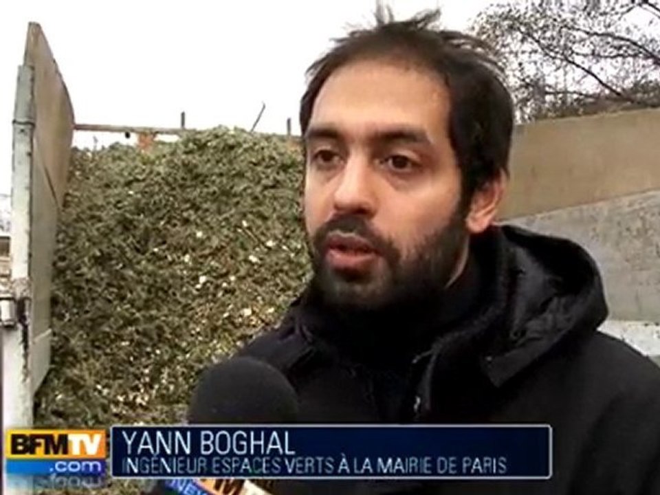 Recyclage : la seconde vie des sapins de Noël