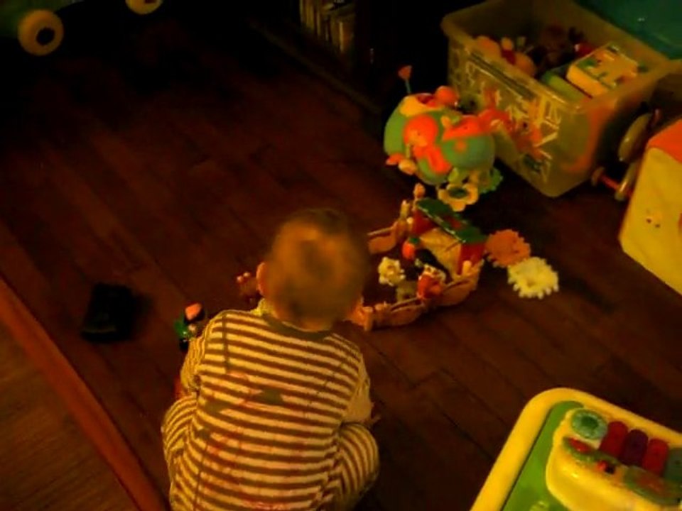 Choupette et ses jouets