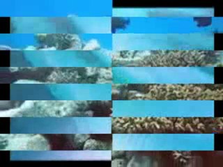 Hz.Ömer-çıktı koca ejderha