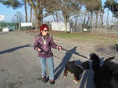 Arrivée au Parc des Expositions (15 janvier 2011).