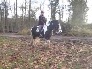 16.01.2011.e.challenge.fauvette