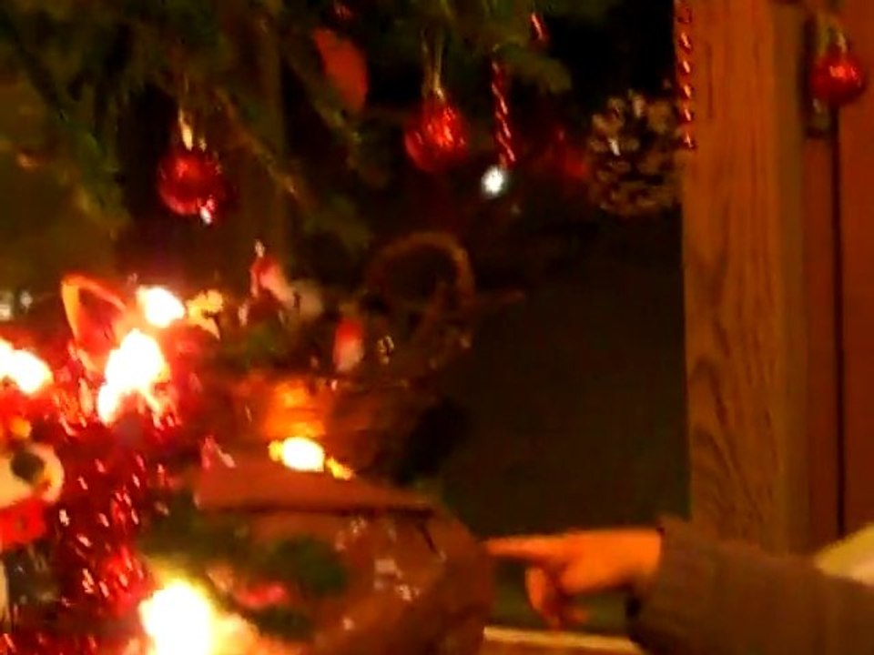 Choupette déballe paco