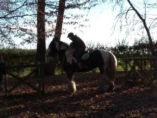 16.01.2011.g.challenge.fauvette