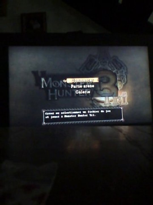 Monster hunter tri test