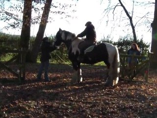 16.01.2011.h.challenge.fauvette