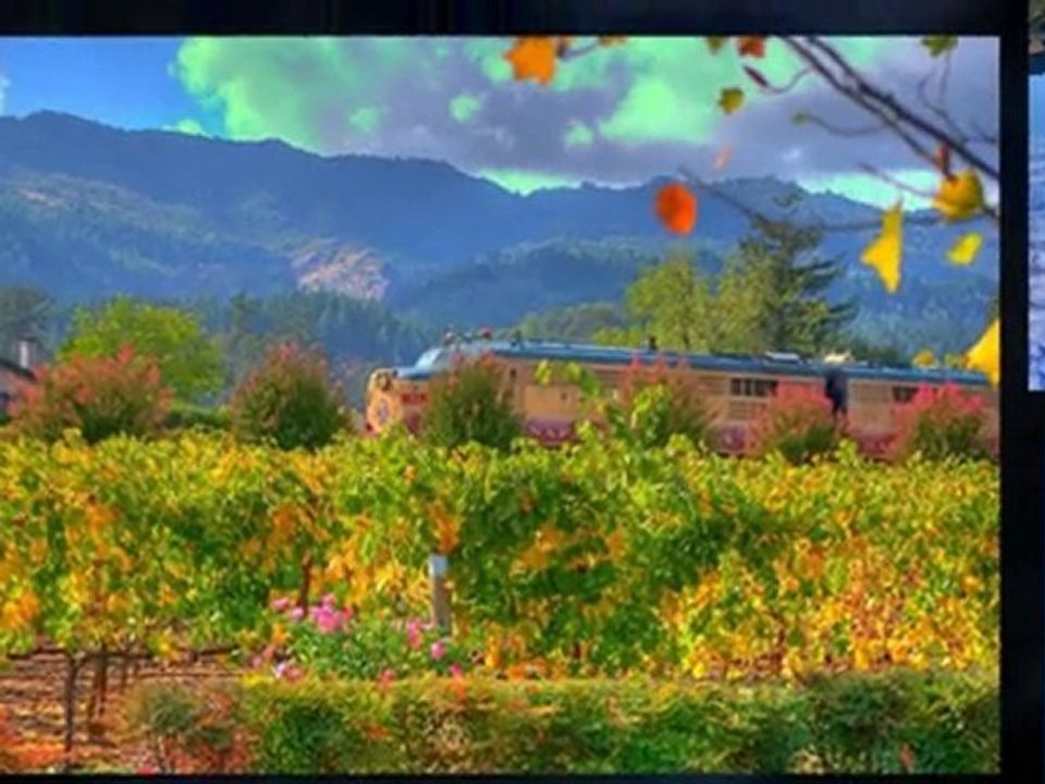 Livermore Wine Tour | Livermore Wine Tasting | 707 313-5555