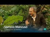 Inteligencia vegetal: Stefano Mancuso