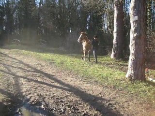 16.01.2011.u.challenge.fauvette