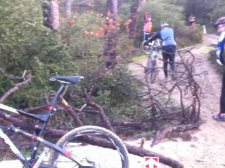 Les Ajoncs 2011