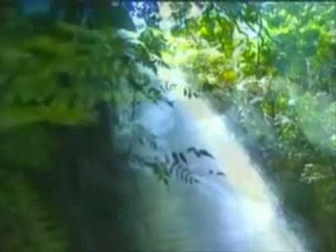 Hz.Ömer-kemiğe yazılan yazı