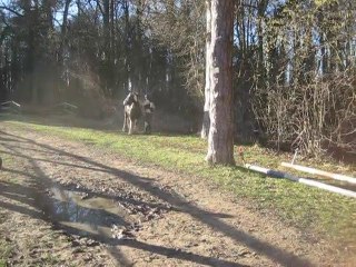 16.01.2011.x.challenge.fauvette