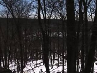 In the Woods: Pathway - Liya Kedebe Clip