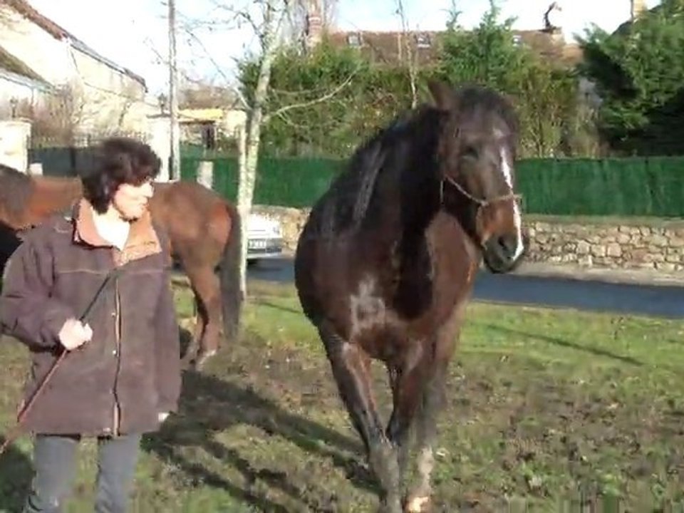 15.01.2011.e1.paola