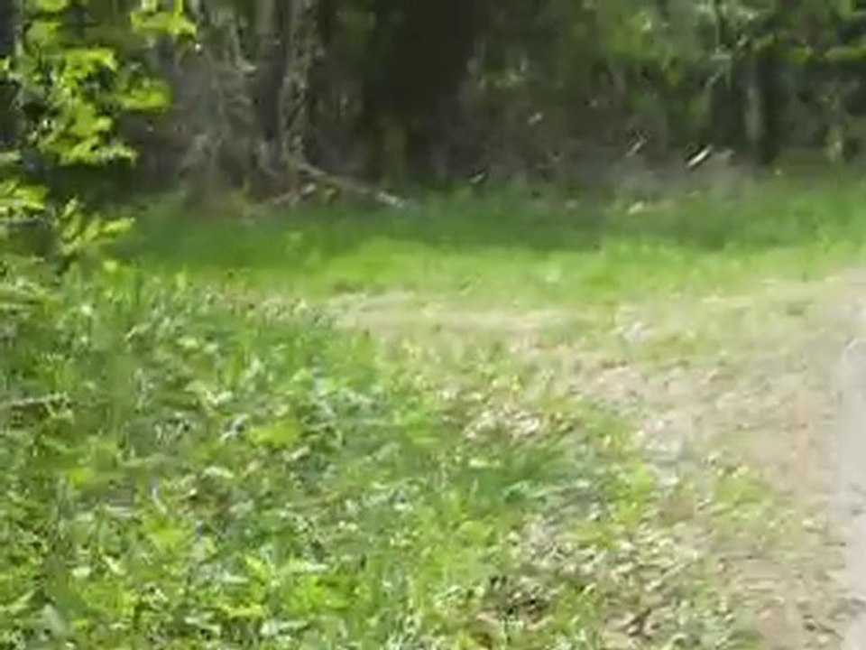 Balade aradienne en Drôme des collines