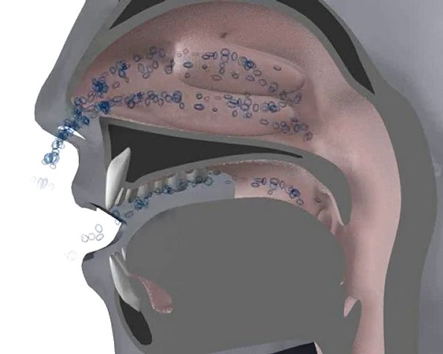 Vibration Gaumensegel