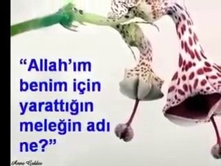 annelik  ne demek ögrenmekmi istiyorsun buyur izle o zaman