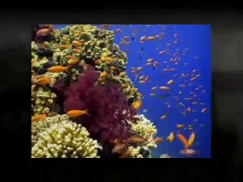 Secured Loans - Assured Loans- Two basic issues that you mus