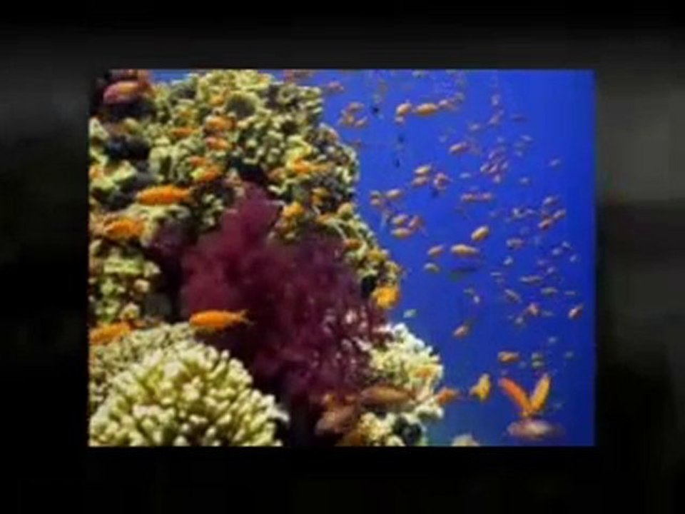 Secured Loans - Assured Loans- Two basic issues that you mus