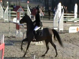 C.H.A. - 16.01.2011 - D2P/D1P - Qroas Valta Kersidal