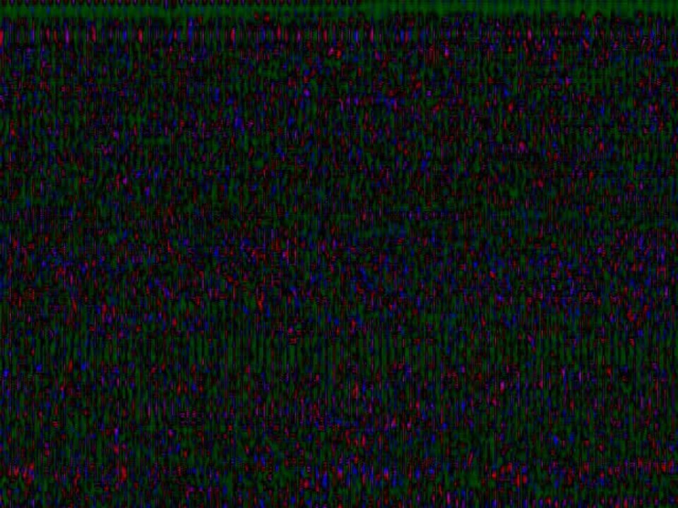 Dresden - Germany, Prague - Czech Republic, Macau SAR - China, Saint-Malo - France, Cannes - France, Budapest - Hungary, Jerusalem - Holy Land