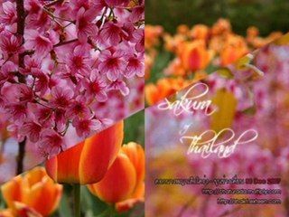 จากโต๊ะข้างๆด้วยความหวังดี-1-show0