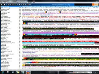Télécharger et installer un Script mIRC , par Neetch