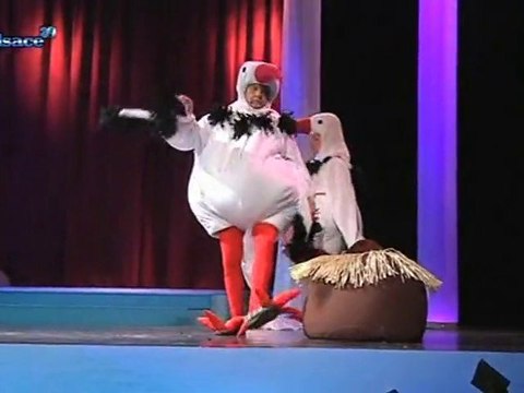 Schiltigheim : la Revue Scoute version 2011