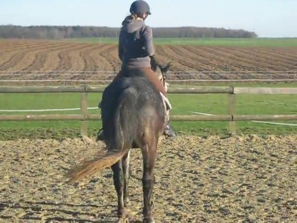 dimanche 16 janvier 2011 066