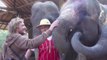 Journée avec les éléphants du Mae Sa Elephant Camp