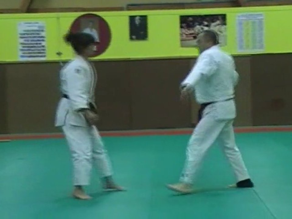 Goshin jitsu 2011