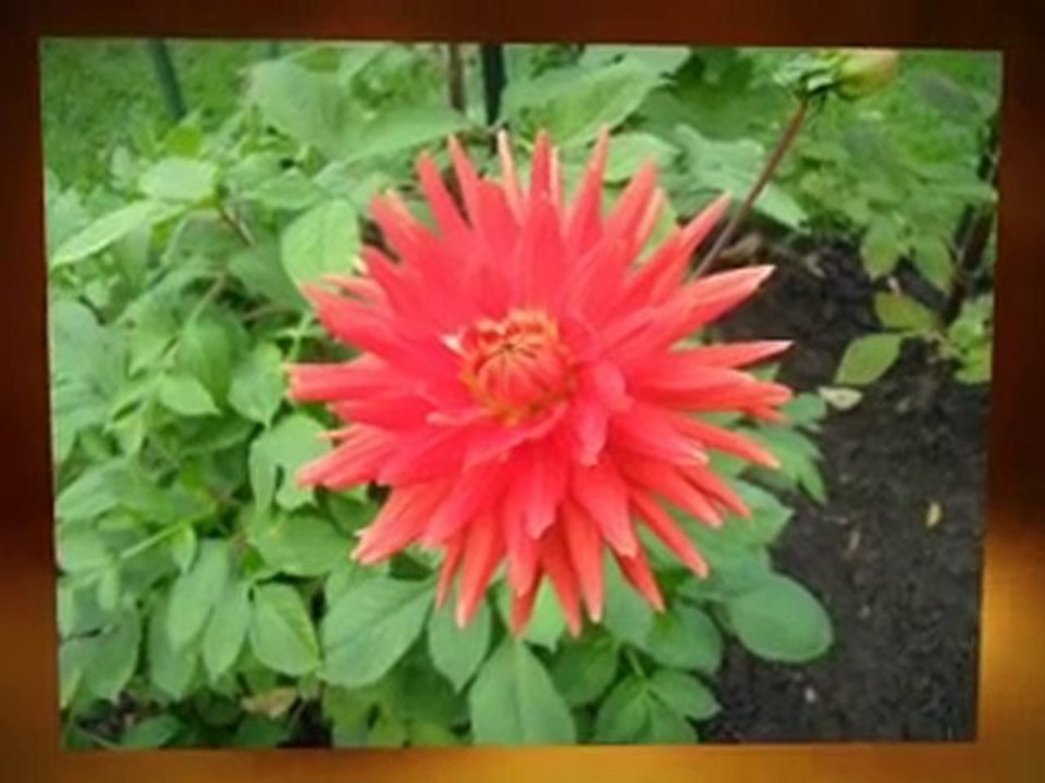 Klickbankprofipartner