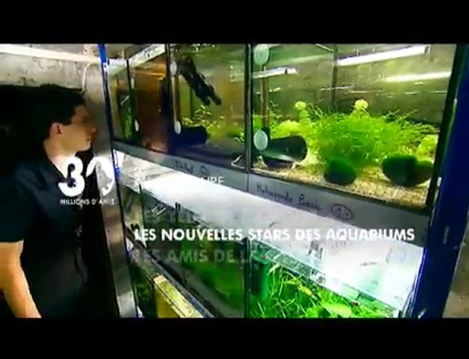 Sommaire émission 30 Millions d'Amis du 22/1/11