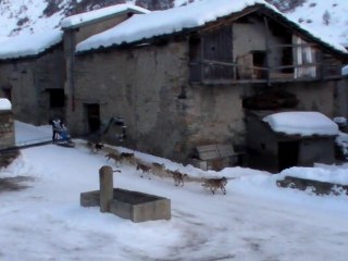 Etape 10a Germano de Martin dans Bonneval sur Arc