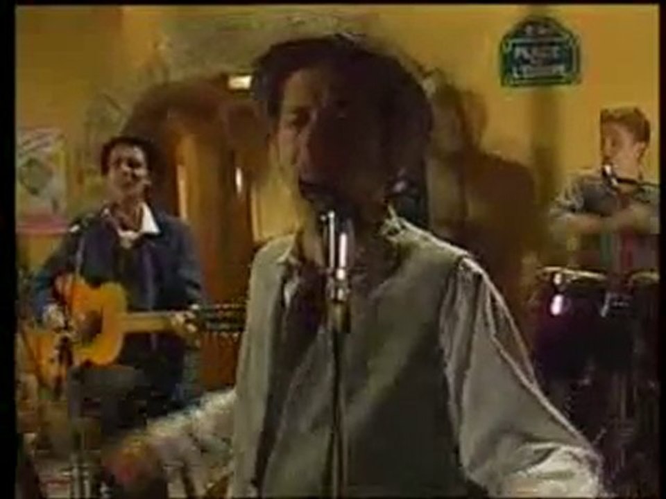 les négresses vertes-zobi la mouche